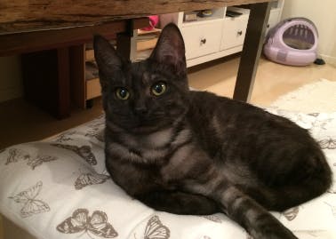 5番目のメイン画像