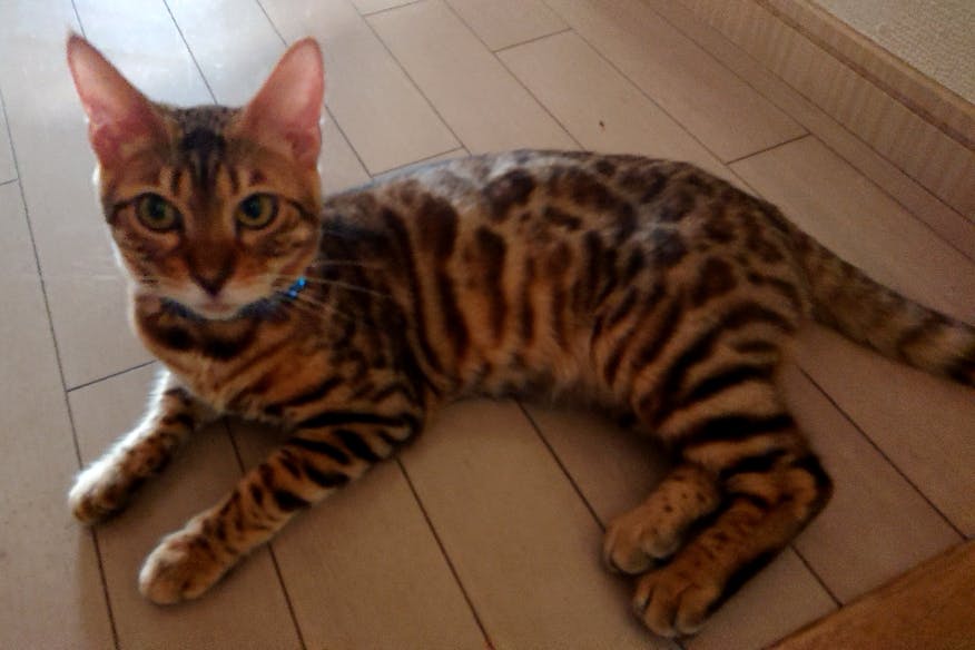 1番目のメイン画像