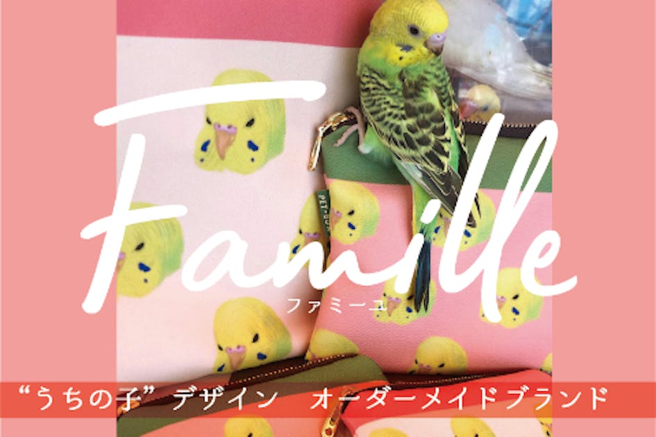 bfe36068-e216-4ba9-8fae-