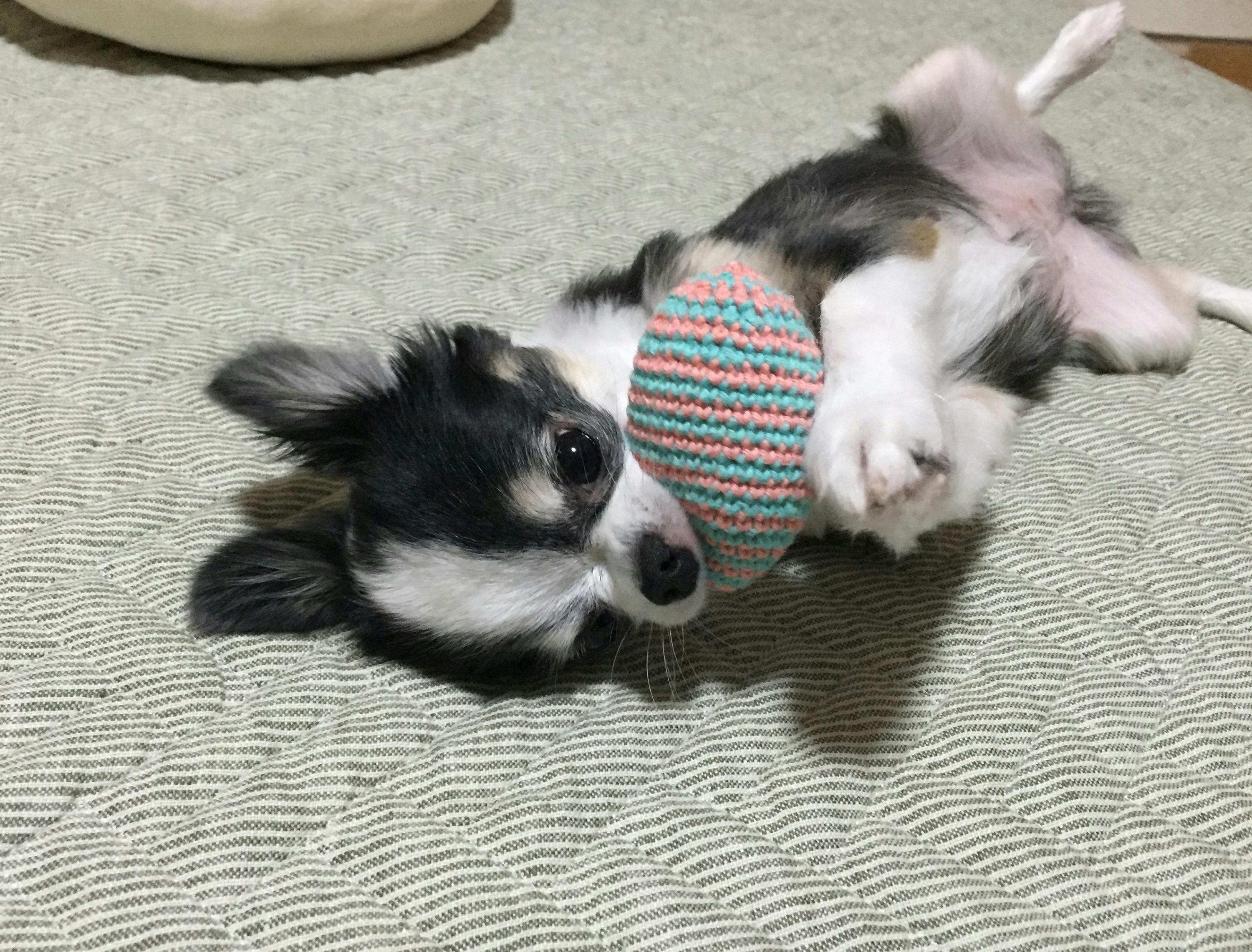 3番目のメイン画像