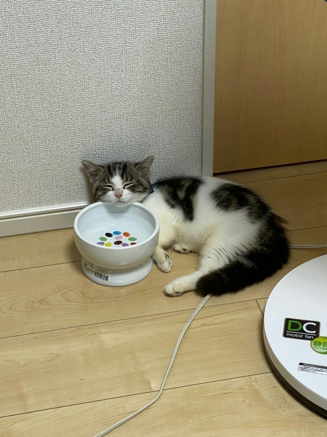 3番目のメイン画像