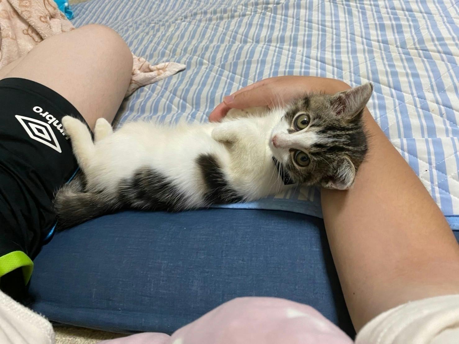 5番目のメイン画像