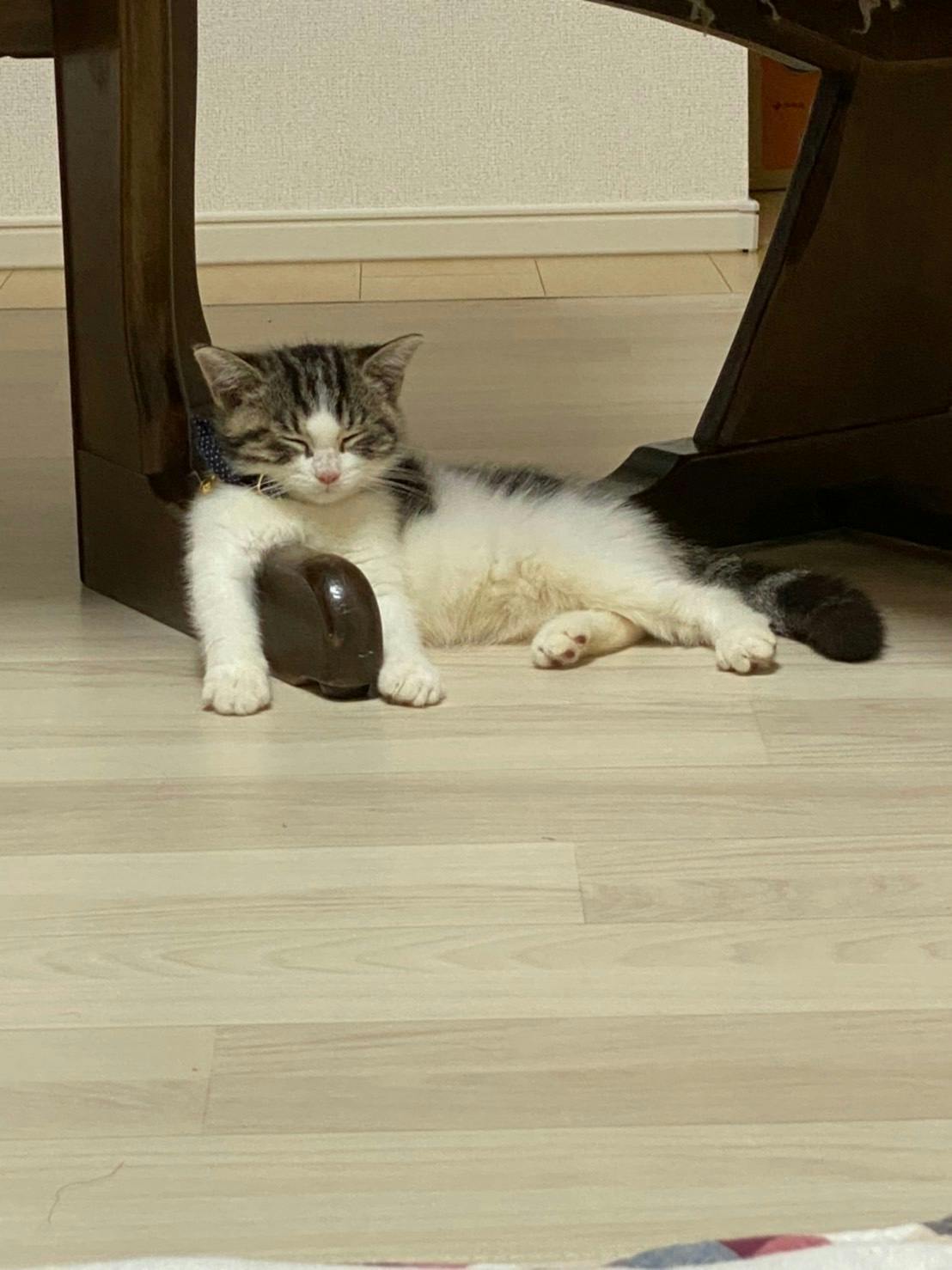 4番目のメイン画像