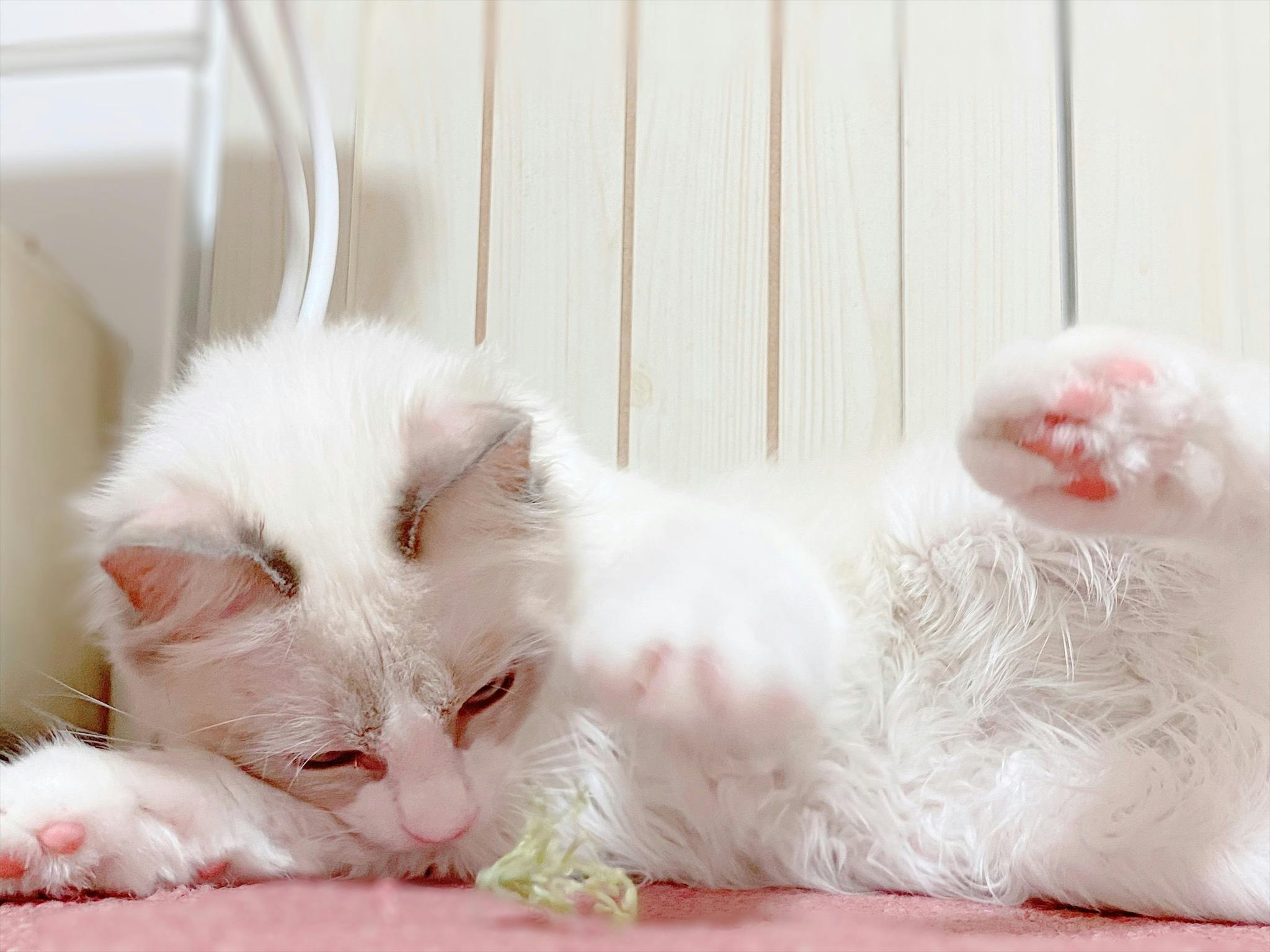 4番目のメイン画像