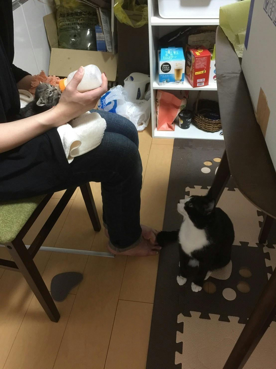 4番目のメイン画像