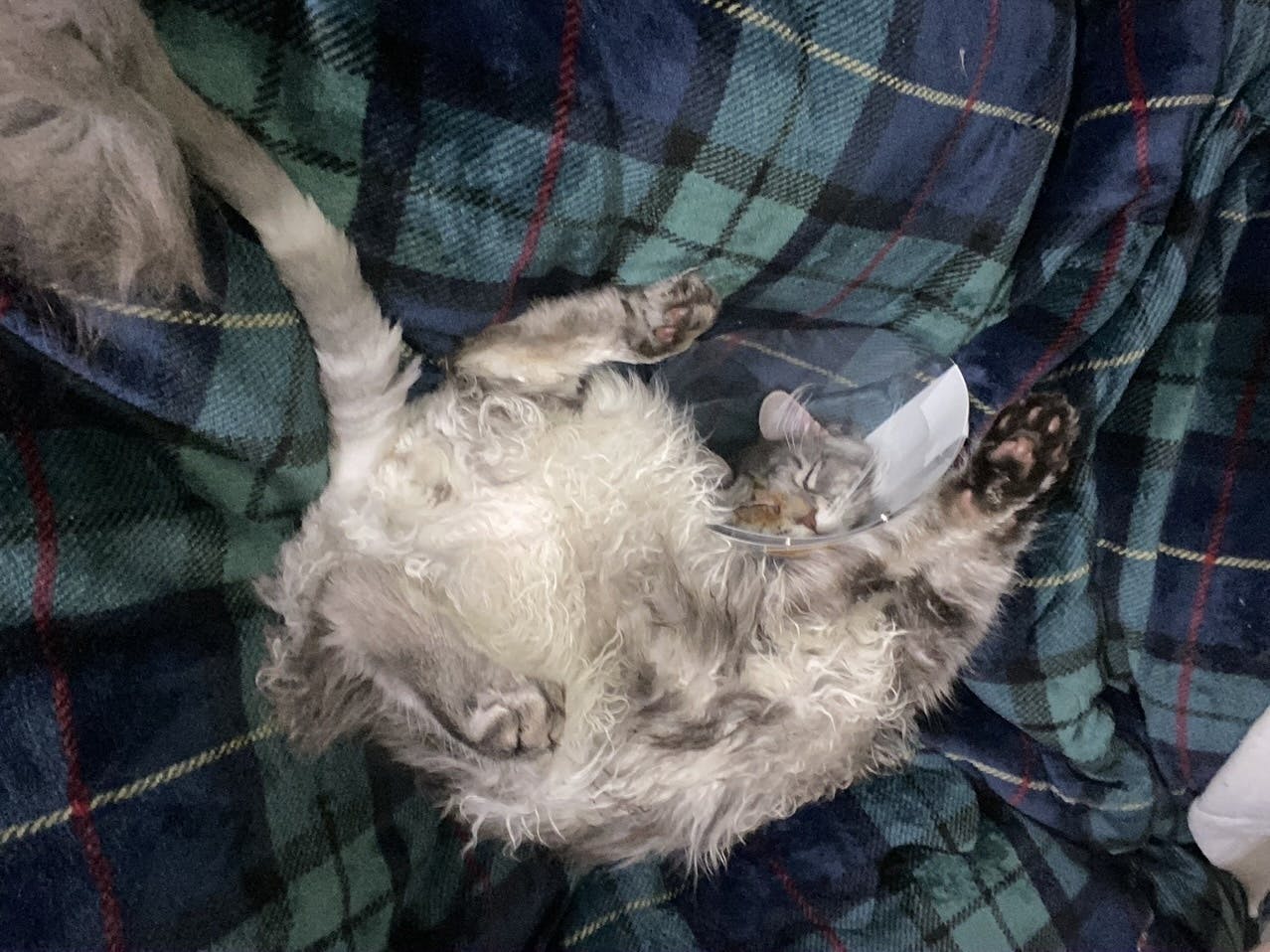 2番目のメイン画像