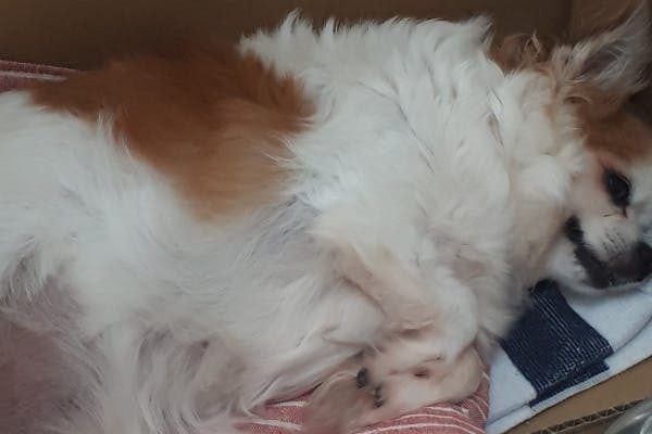 1番目のメイン画像