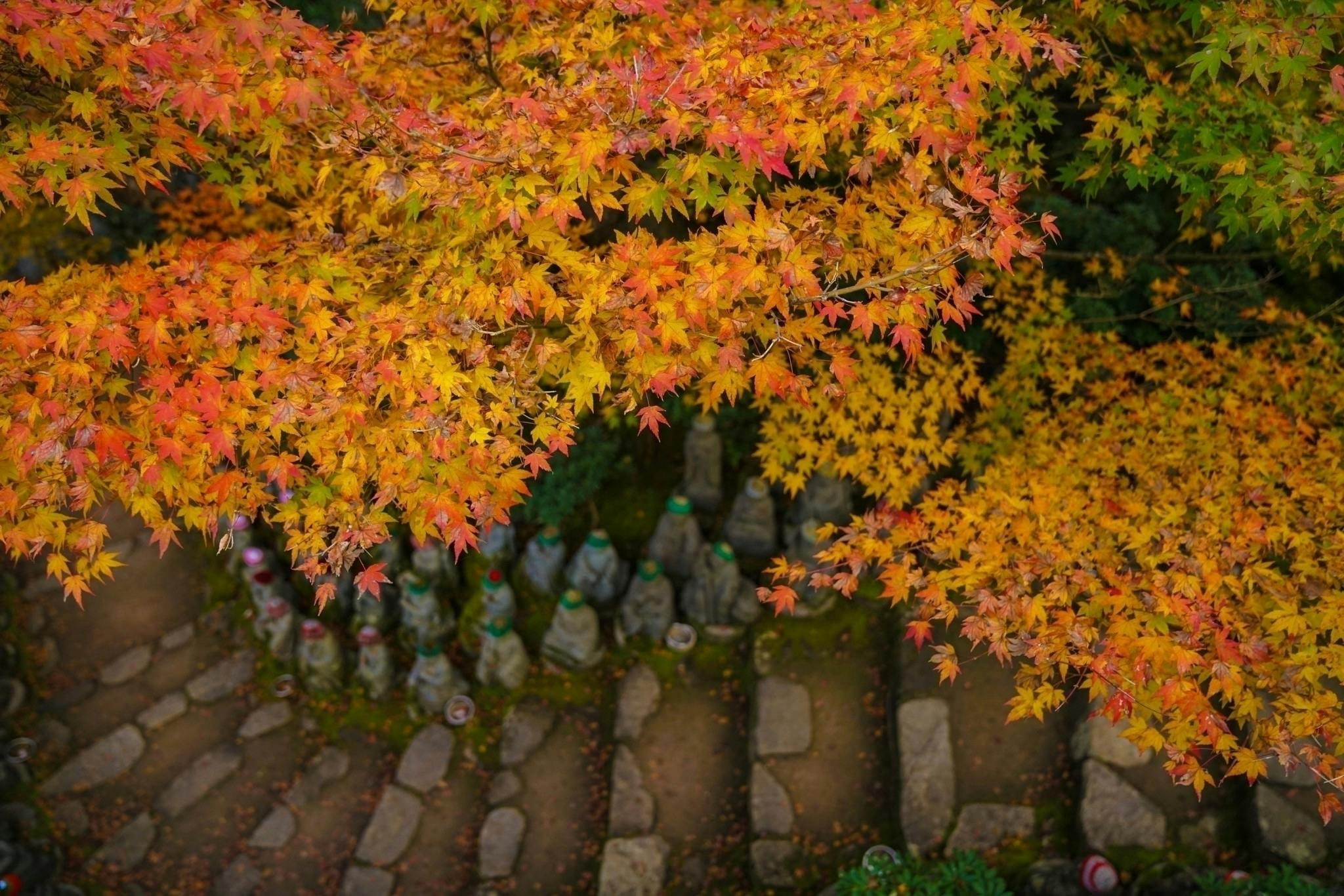 4番目のメイン画像