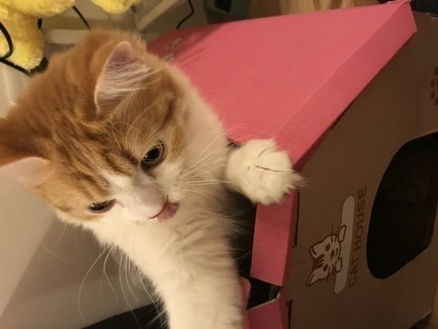 4番目のメイン画像