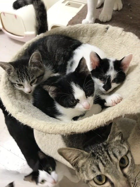 5番目のメイン画像