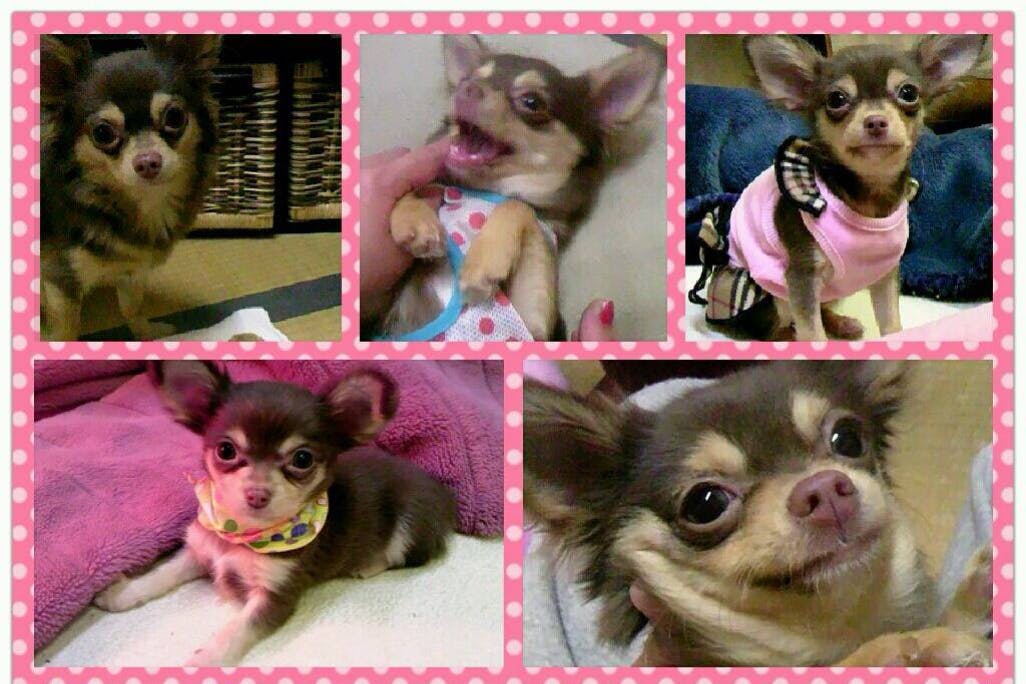 1番目のメイン画像