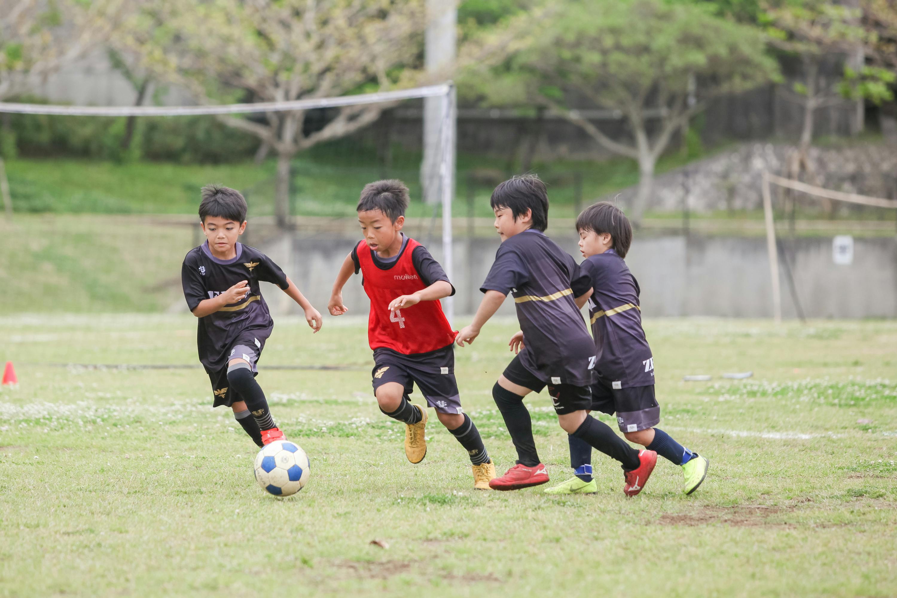 4番目のメイン画像