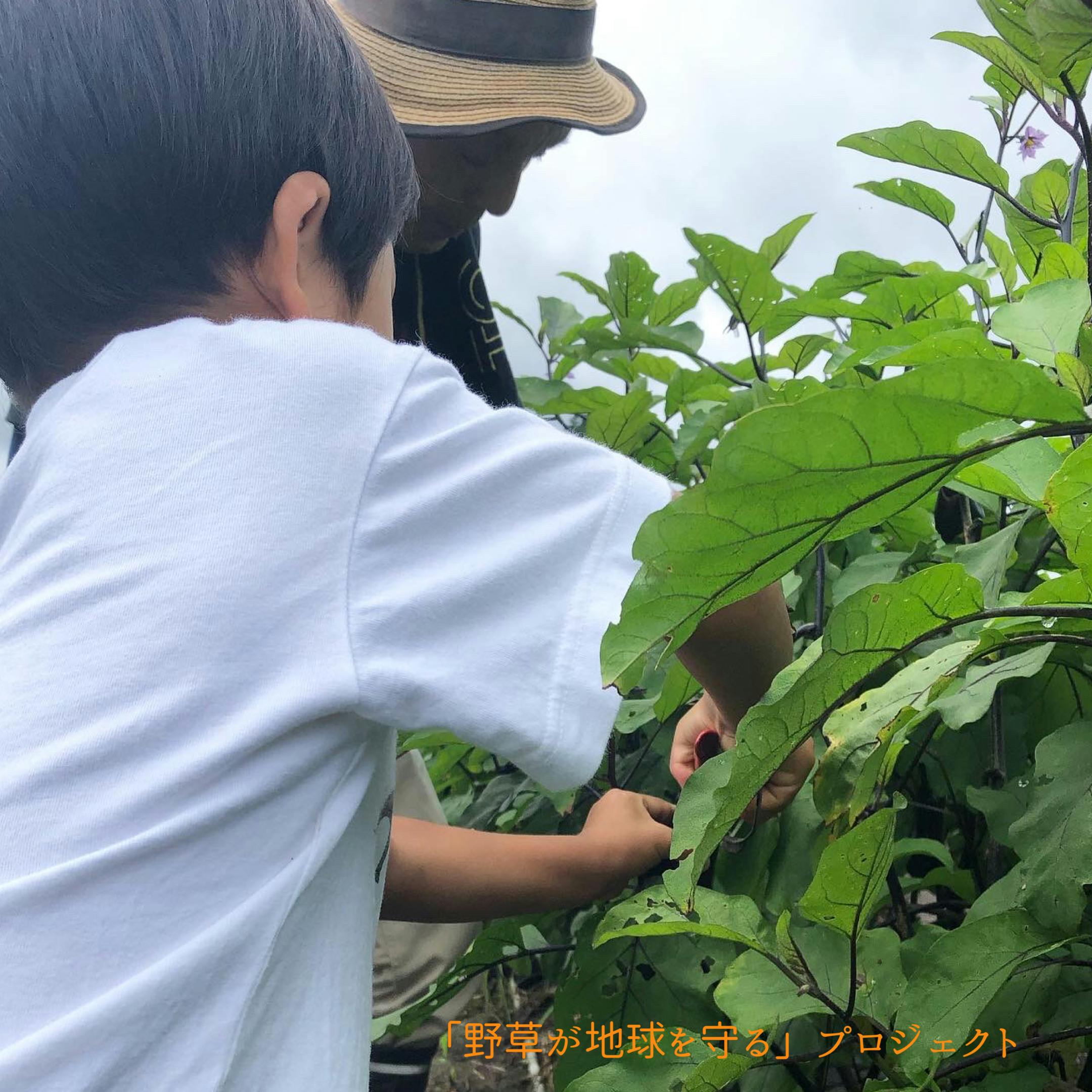 4番目のメイン画像