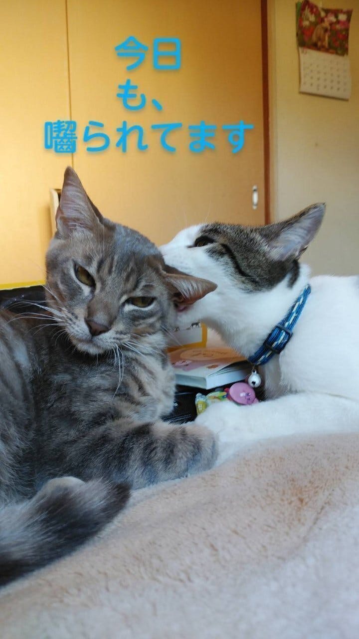 2番目のメイン画像