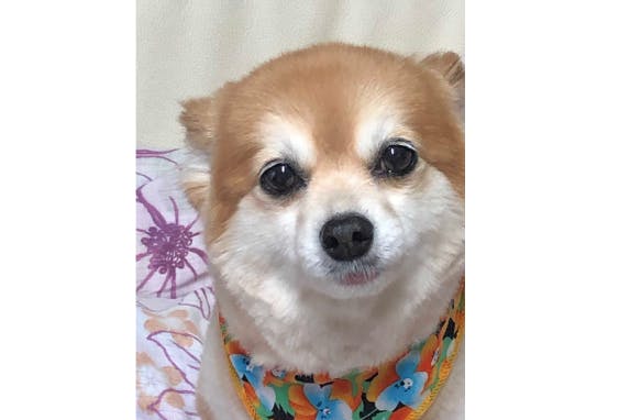 1番目のメイン画像