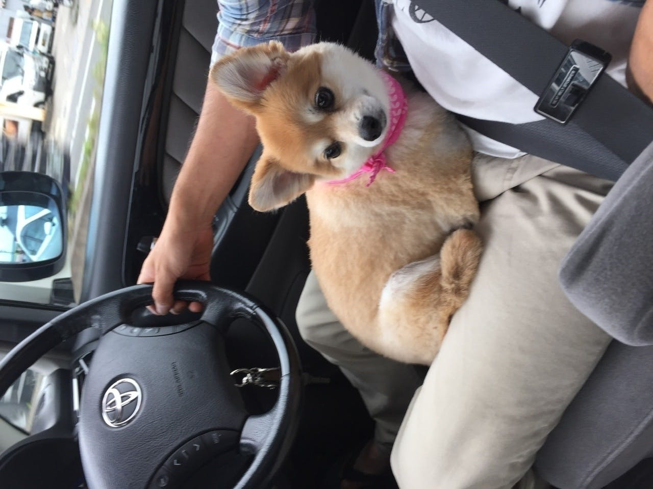 4番目のメイン画像