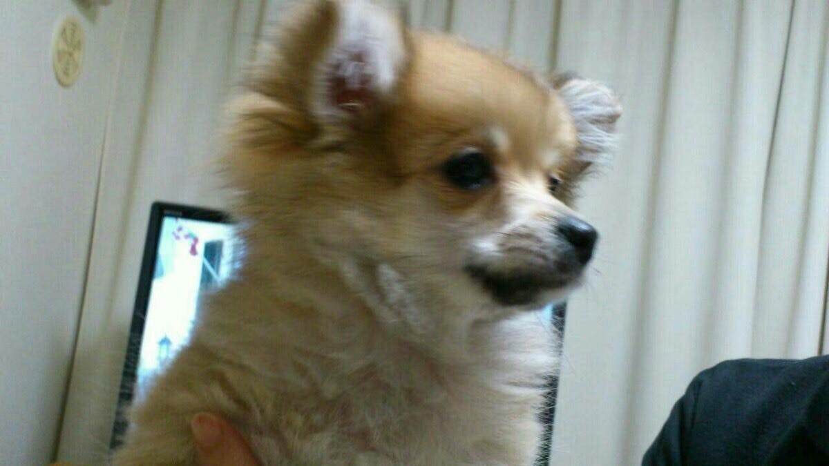 2番目のメイン画像