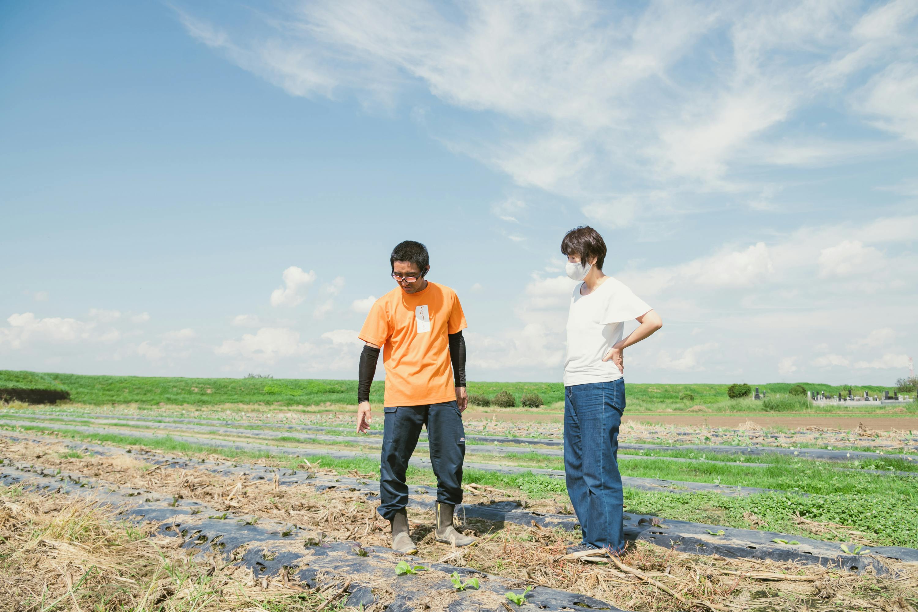 3番目のメイン画像