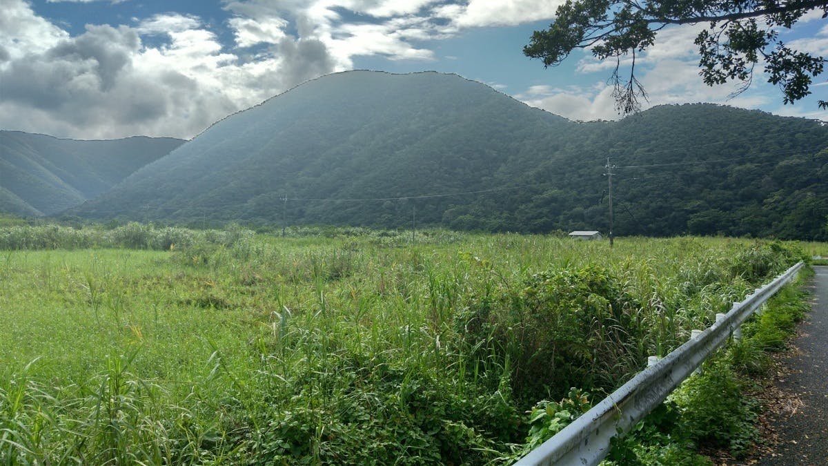 5番目のメイン画像