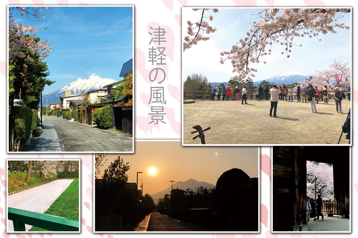 5番目のメイン画像