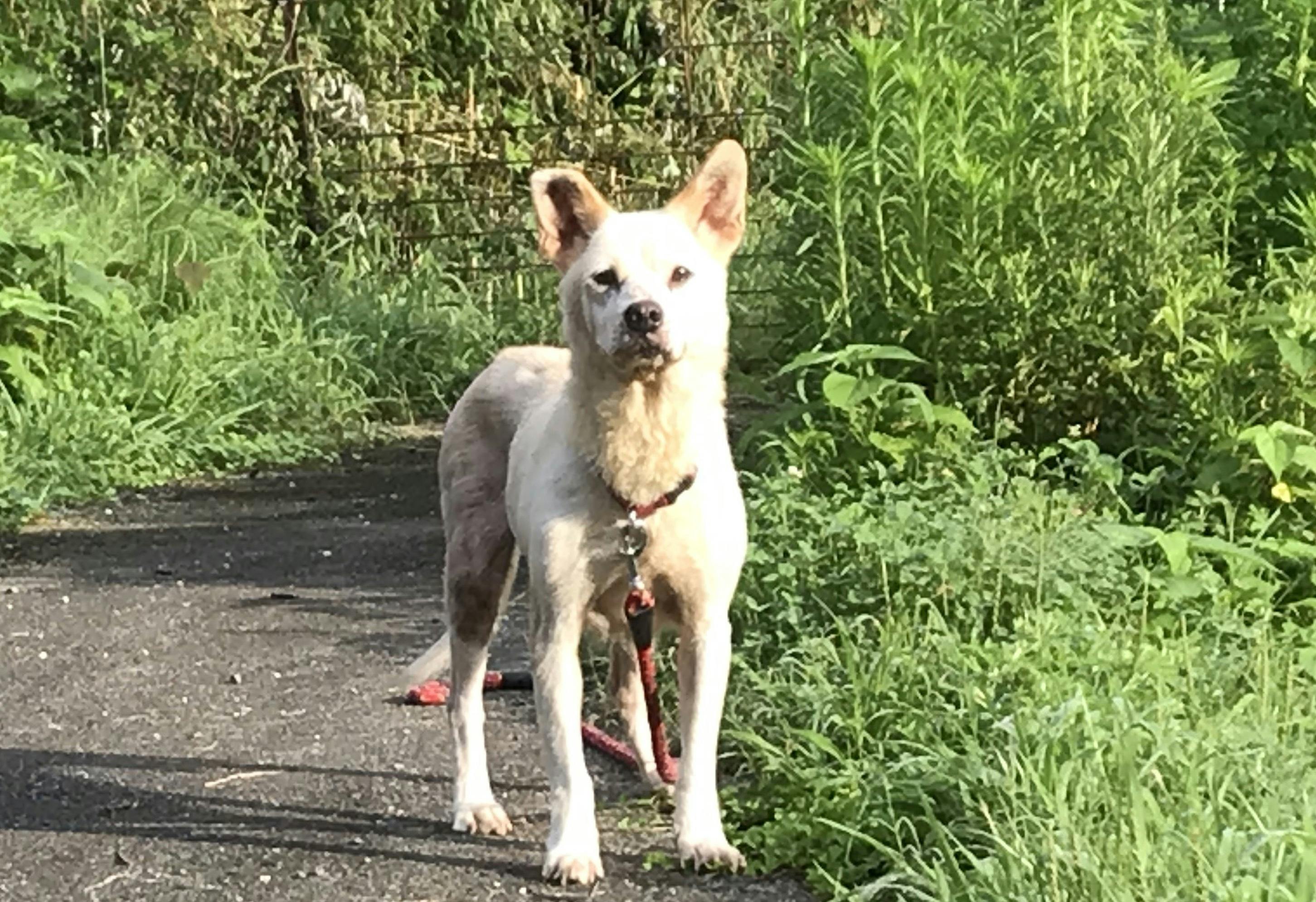 4番目のメイン画像