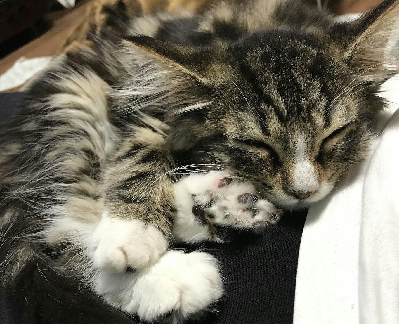 5番目のメイン画像