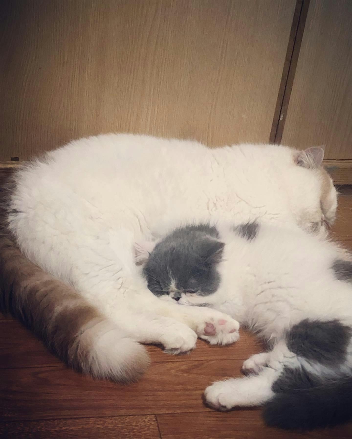 2番目のメイン画像