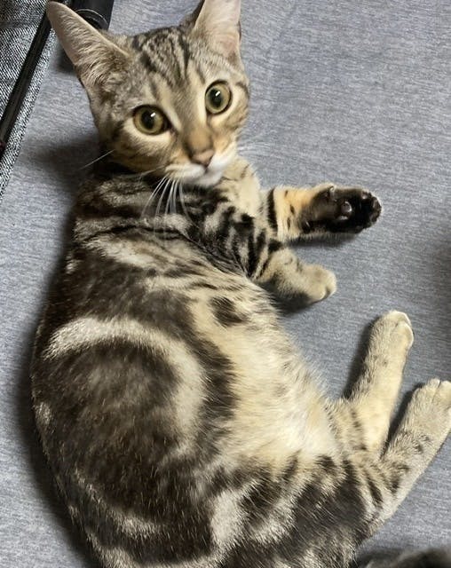 5番目のメイン画像