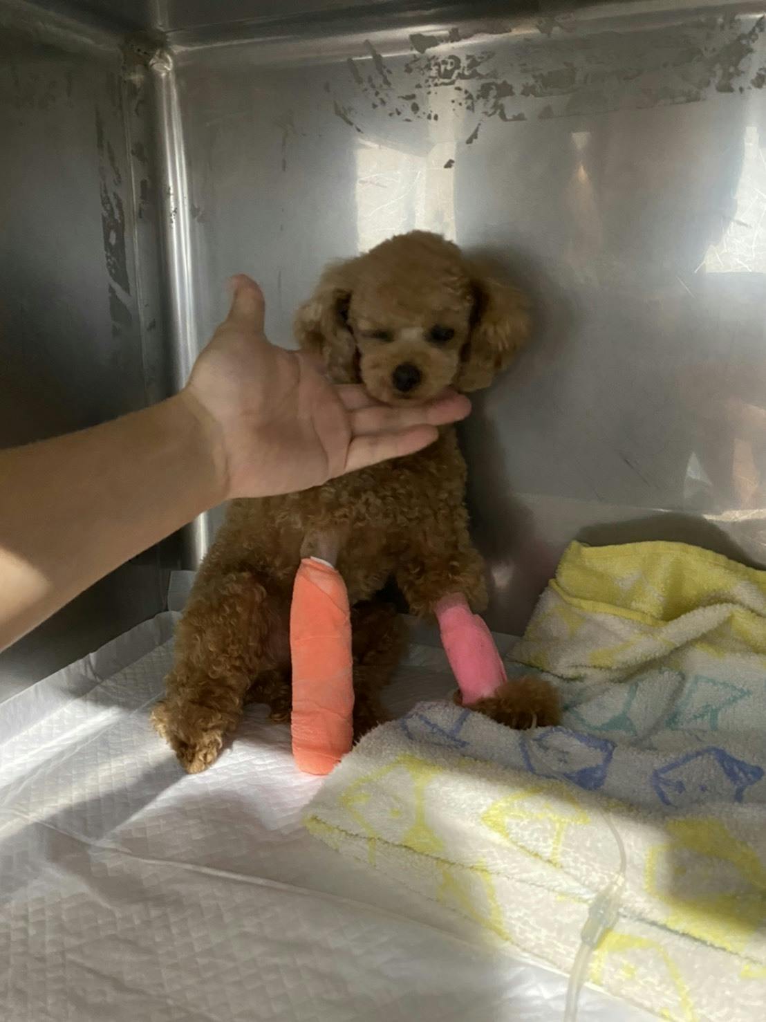 5番目のメイン画像