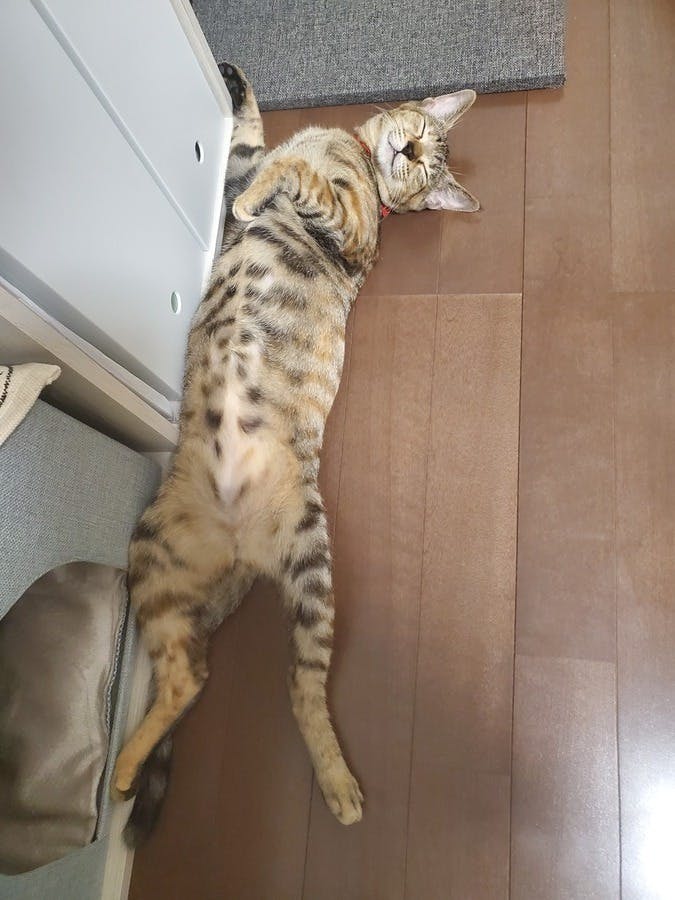 5番目のメイン画像