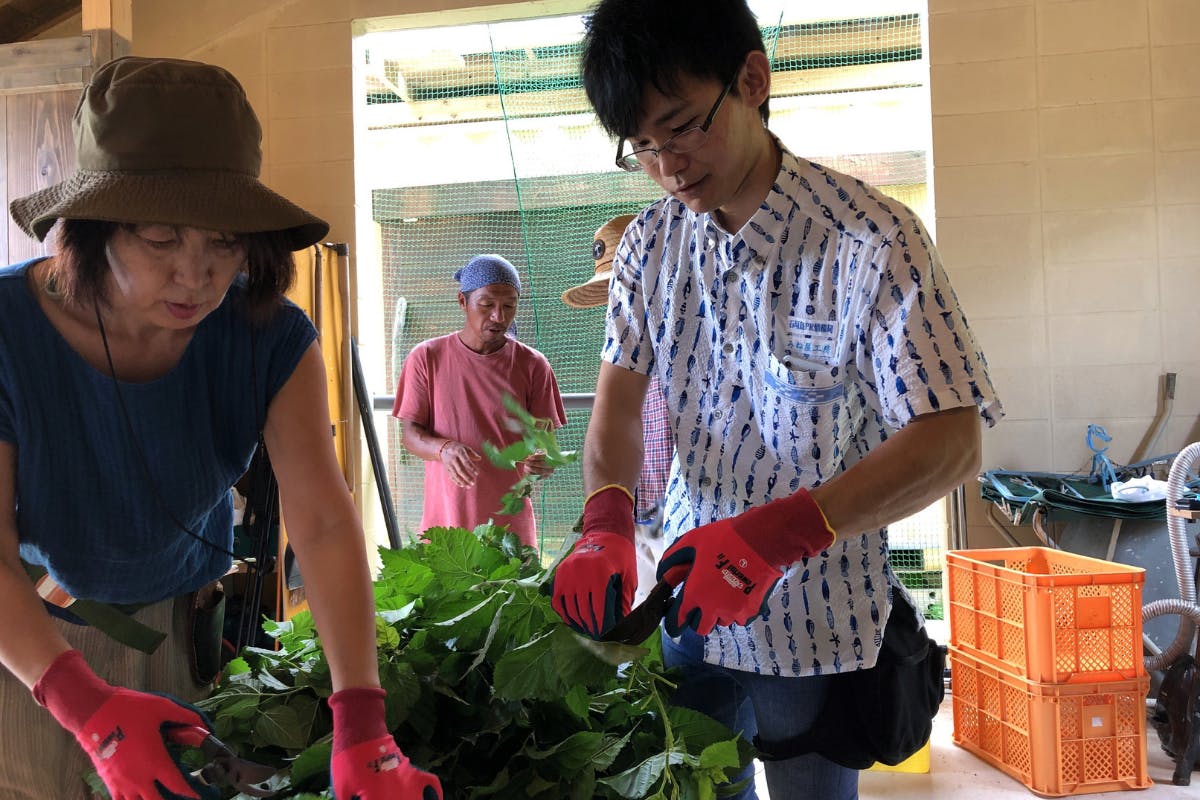 5番目のメイン画像