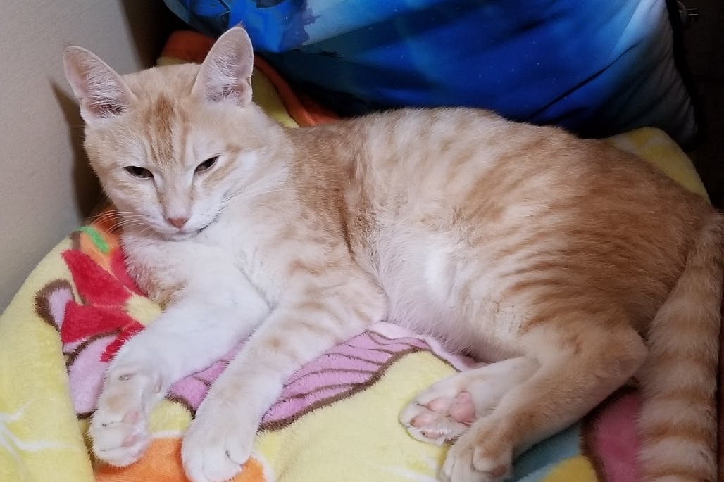 1番目のメイン画像