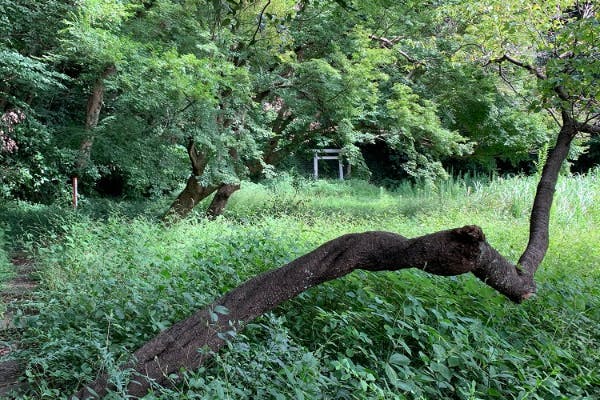 1番目のメイン画像