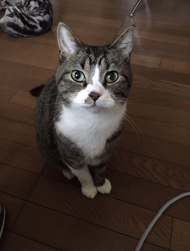 2番目のメイン画像