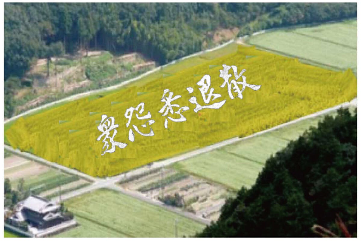 3番目のメイン画像