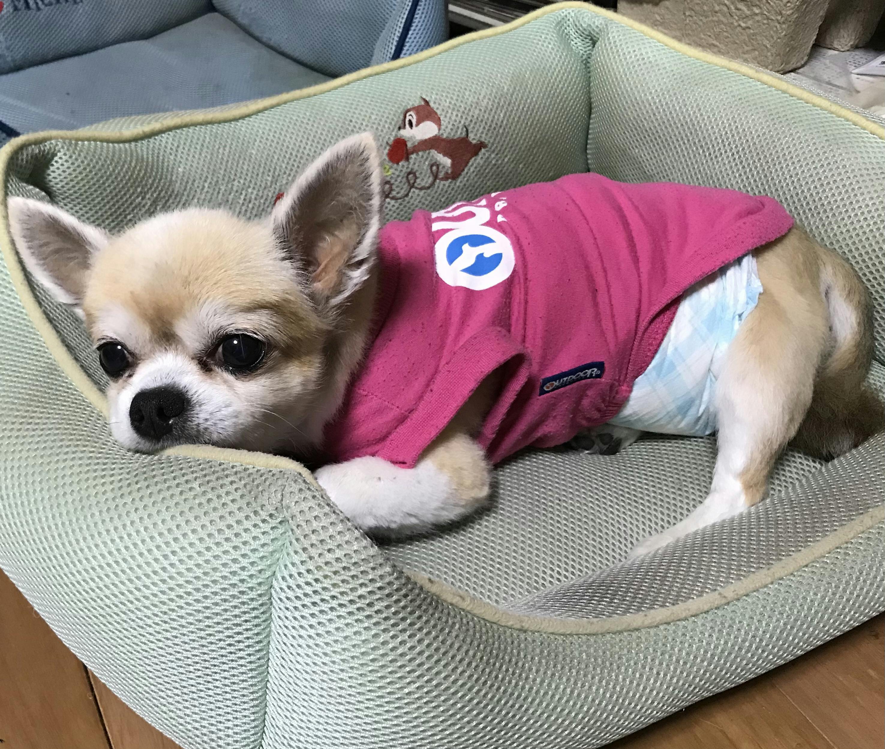 3番目のメイン画像