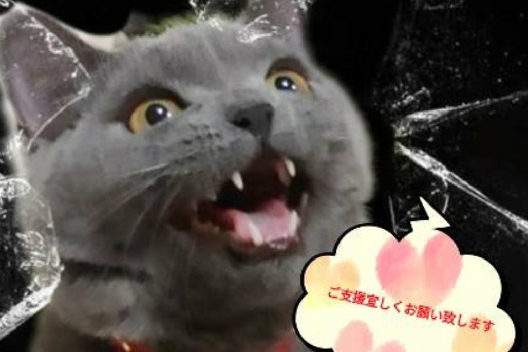 1番目のメイン画像