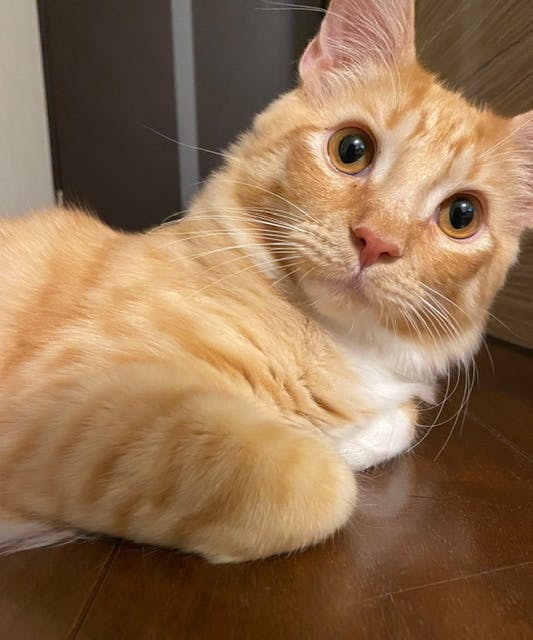 5番目のメイン画像