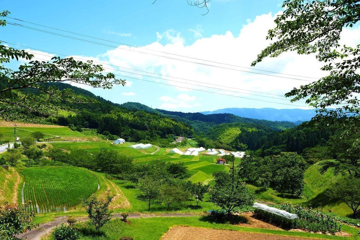 2番目のメイン画像