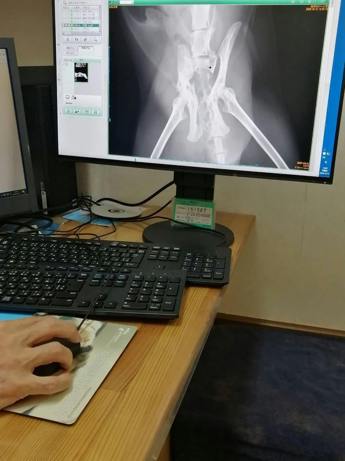 3番目のメイン画像