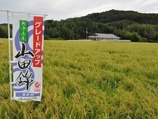 5番目のメイン画像