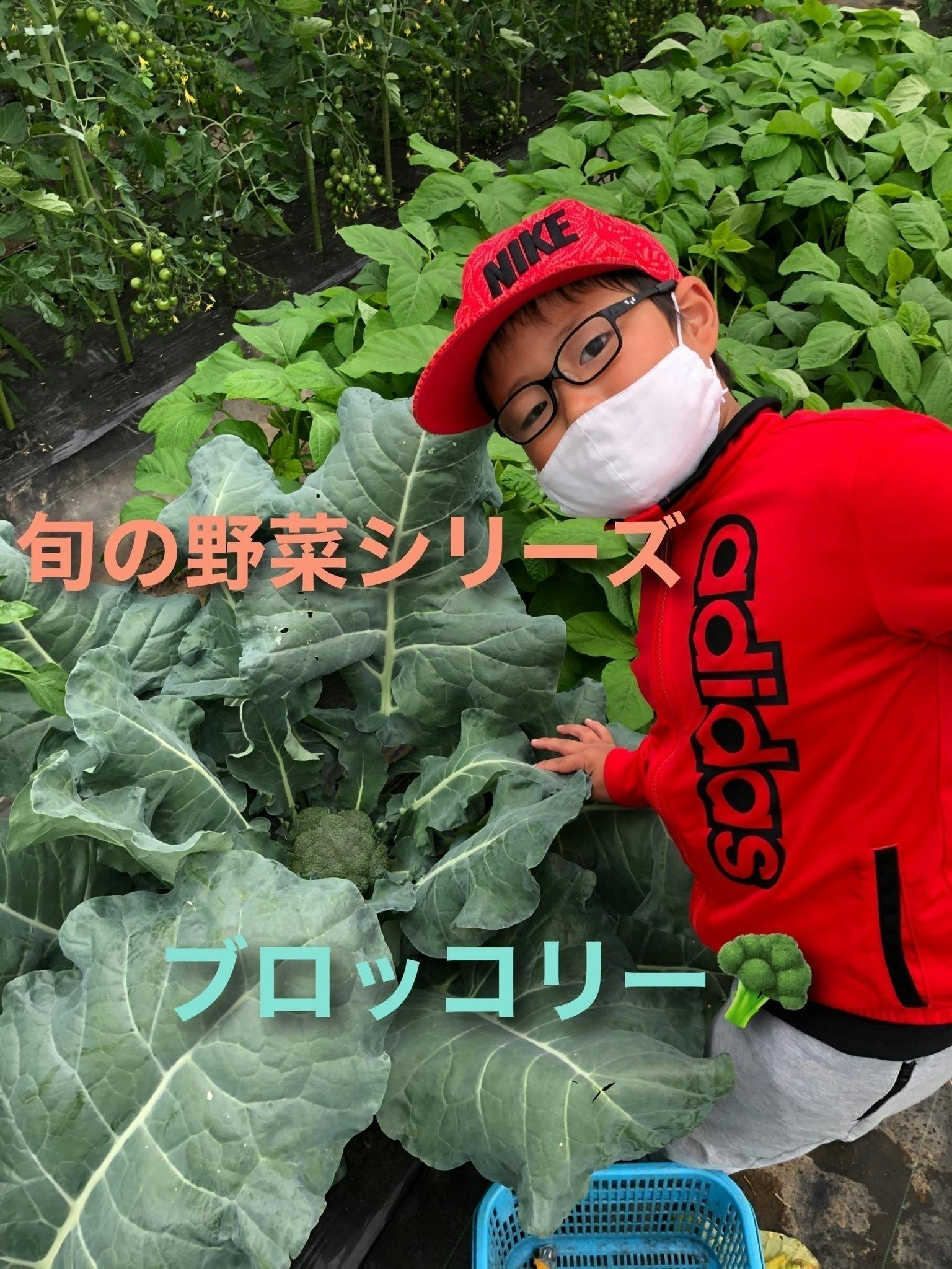 4番目のメイン画像