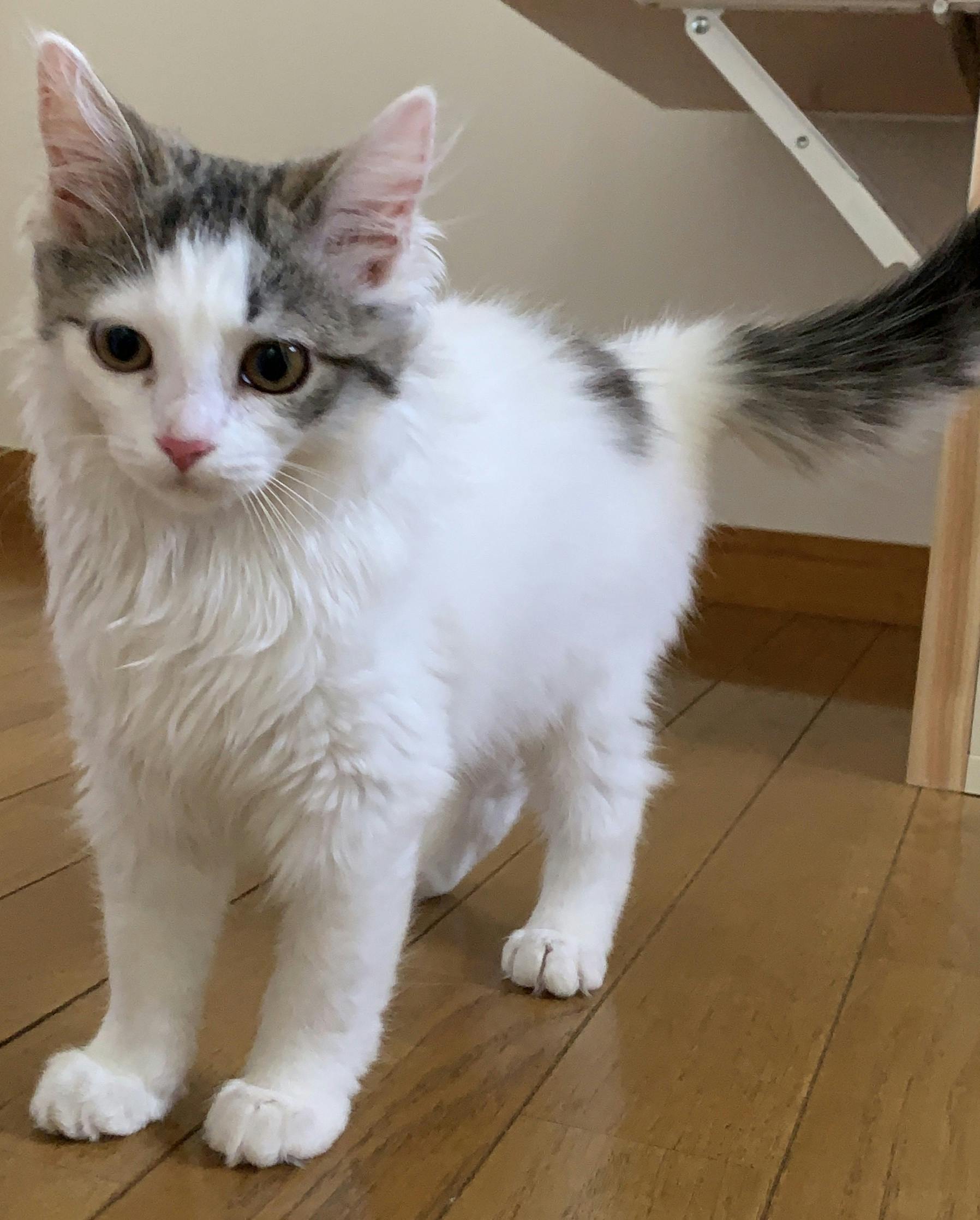 3番目のメイン画像