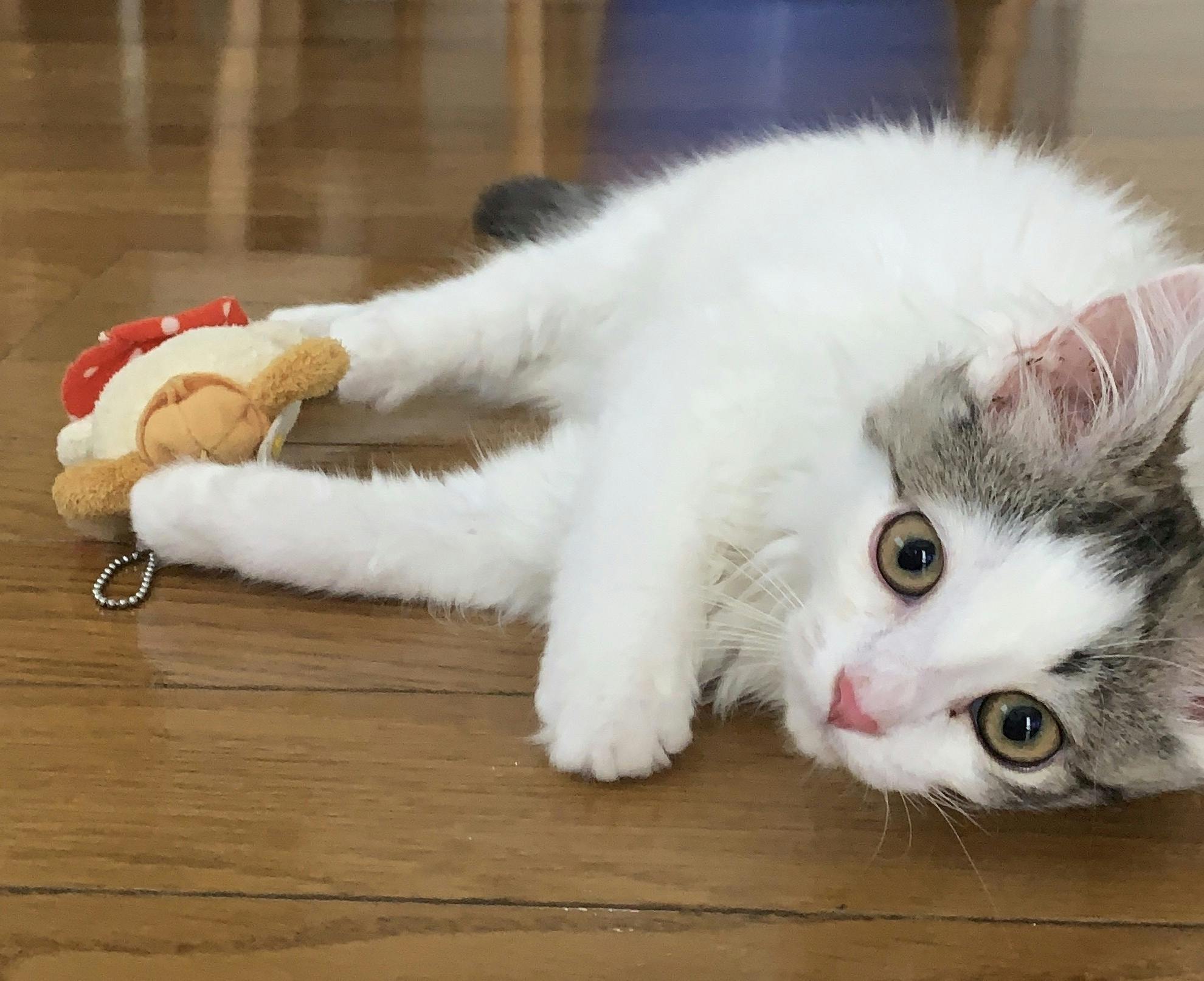 2番目のメイン画像