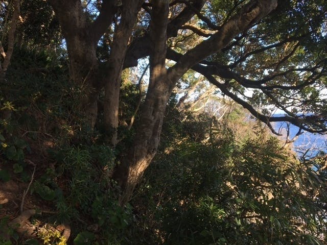 5番目のメイン画像