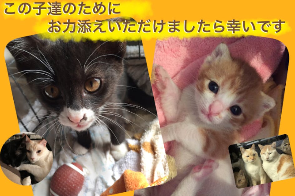 a96ef5f3-8199-43c3-834e-