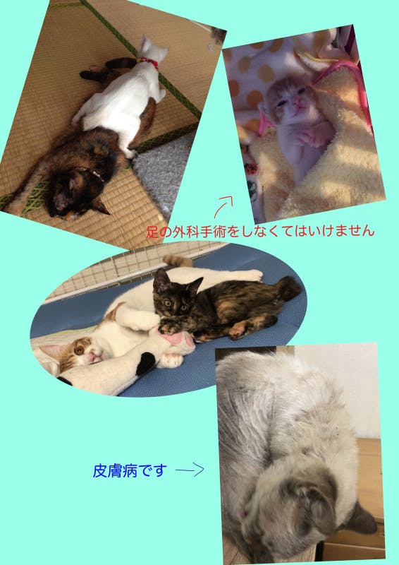 2番目のメイン画像