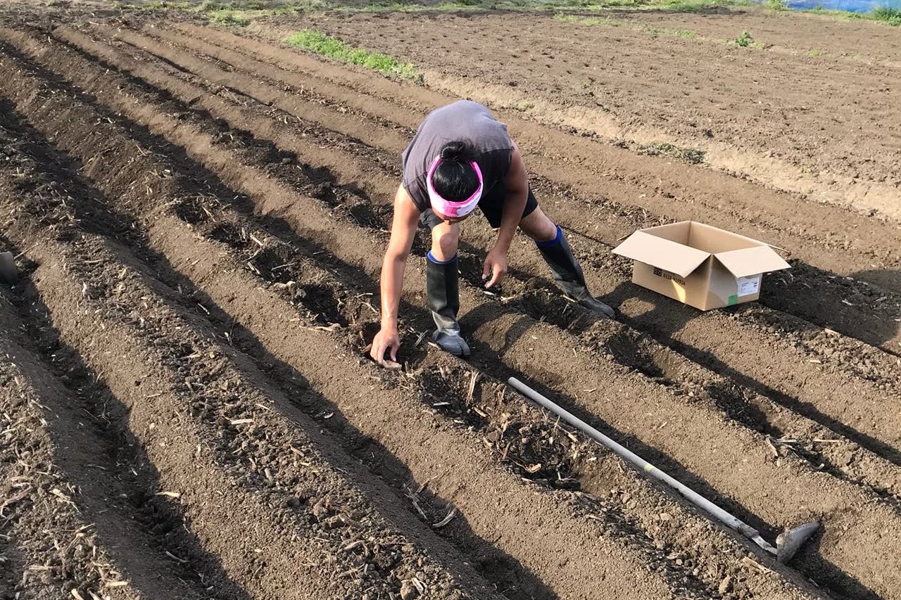 4番目のメイン画像