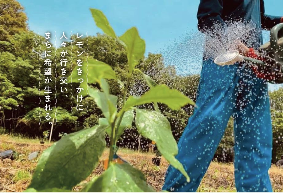 3番目のメイン画像