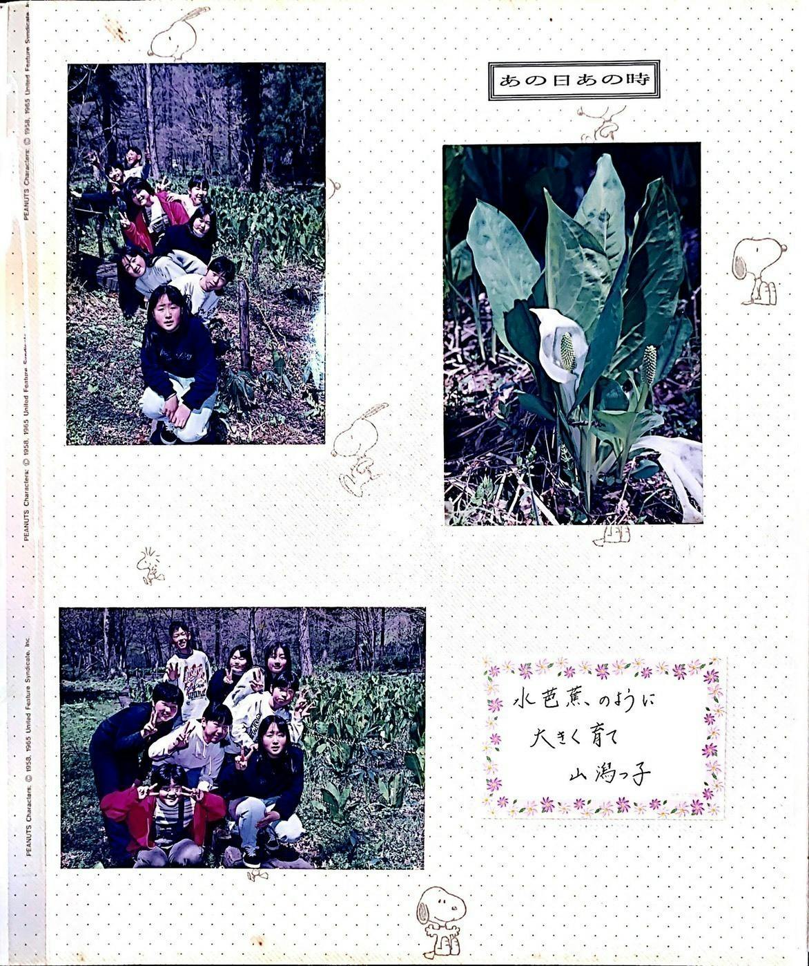 4番目のメイン画像